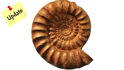 Understanding the concepts of Software Design Patterns