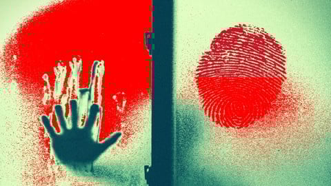 Digital Forensics and Electronic Evidence