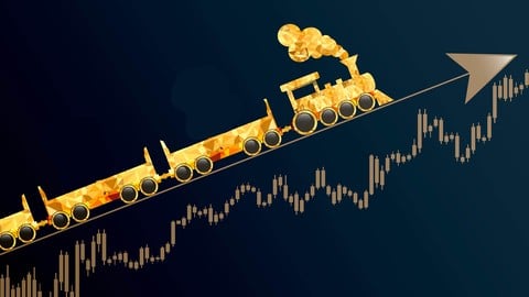 Comprehensive Cardano Vol.2: Beginner to Cardano Expert