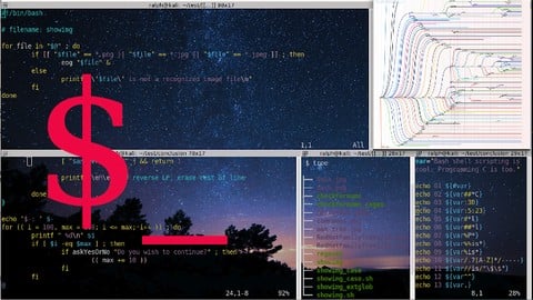 Bash Shell Programming from the Ground Up