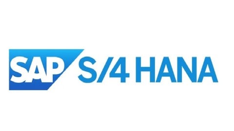 SAP S/4 HANA : Master Data Simplifications