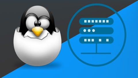 Master Linux Server Professional con  Fedora Server y Debian