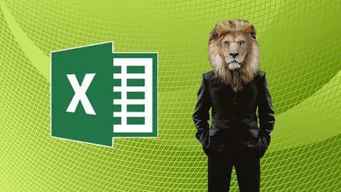 77-728 MOS Excel Expert 2016 Training (Deutsch)