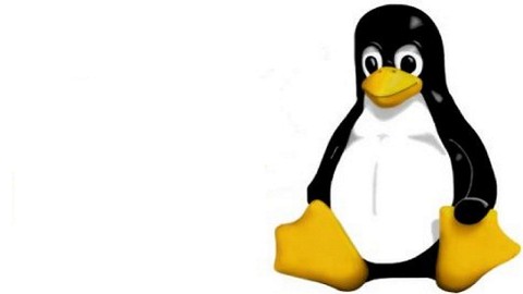 Linux Terminal Temel Komutları