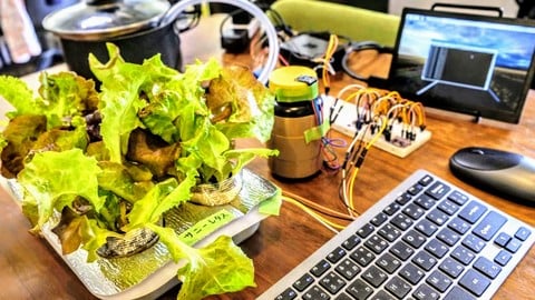 ラズベリーパイ（Raspberry Pi）とPythonでIoTはじめの一歩～IoTキッチンガーデン講座～