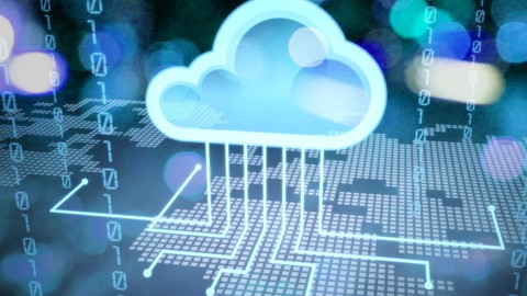 Oracle Apps R12 and Fusion Accounts Payable Training Bundle