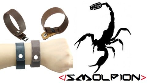 Entrenamiento de ciberseguridad con SMOLPION de 0 a Experto