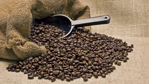 Object Oriented Programming in Java [Exercises]