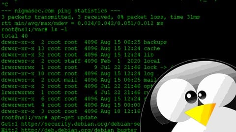 Linux Completo + Servidores