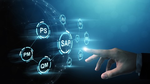 Curso Introducción Al Sistema SAP