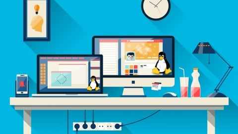 Bash Scripting: Crea tus primeros scripts en Bash desde cero