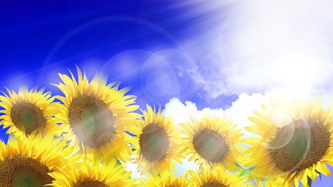 天国にいけるC言語入門　講義時間は50時間！　楽しく超親切にC言語の解説を行っています