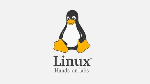 Linux администратор. Лабораторные работы. Практический курс.