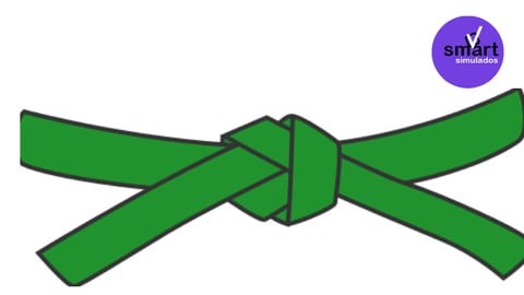 Simulado Prático Certificação green belt six sigma