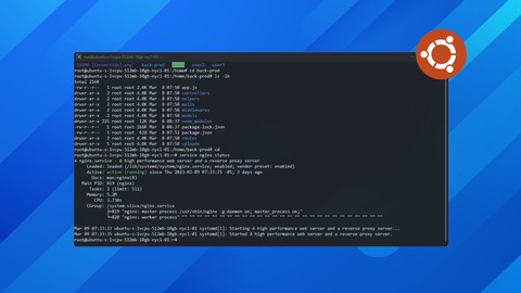 Domina la Administración de Servidores Web con VPS y Linux
