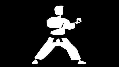 Karate Testing - De principiante a experto