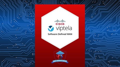 Cisco SDWAN Viptela