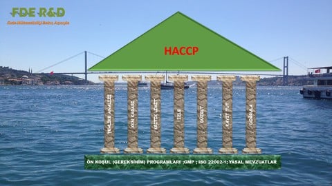 Gıda Sektöründe Risk Yönetimi- HACCP