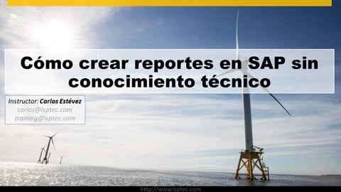 Cómo crear reportes en SAP sin conocimiento técnico