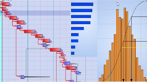 Primavera Risk Analysis -Arabic