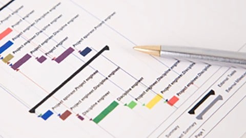 Project Management en Español - Gestion de Proyectos -35 hrs