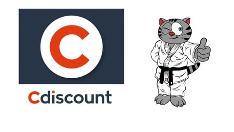 Dropshipping sur Cdiscount : Mode d'emploi en 30 minutes