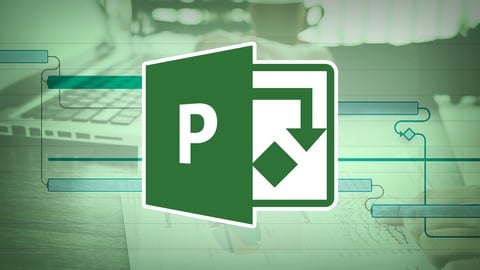 Microsoft Project 2013 / 2016 Professional use