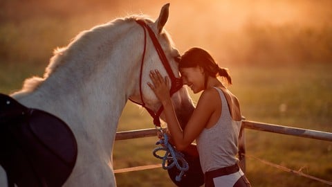 Adobe Premiere Pro CC 2021 - de amador a profissional