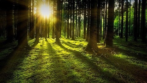 Auditor Interno ISO 14001 Gestión Ambiental