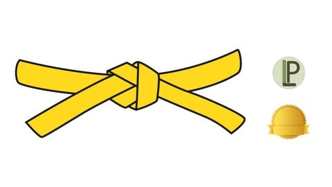 Certification Ceinture Jaune Lean Six Sigma