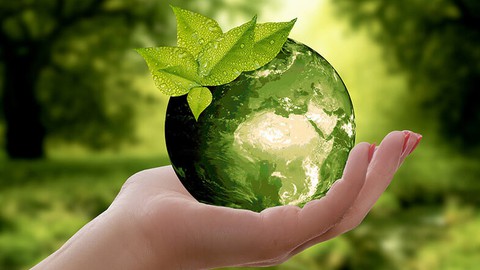 Crea un negocio sustentable cuidando el medio ambiente