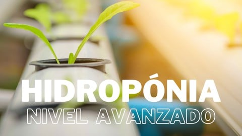 Hidroponía para emprendedores