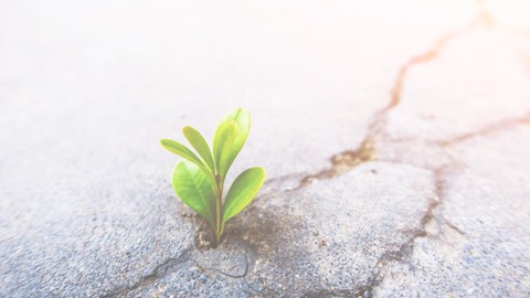 Fundamentos da Filosofia Lean