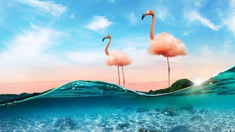 Photoshop CC 2021 Basics in 90 minutes - Arabic