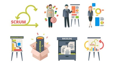 Project Management Professional Consultant