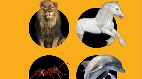 دبلومة مهارات البيع النفسي - 6- أنماط شخصيات العملاء