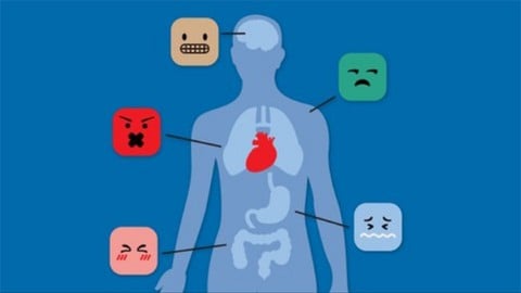 Inteligencia Emocional en el Trabajo: Aprende tus Emociones