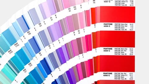 Moda ve Renk Stil Danışmalığı