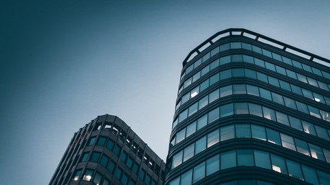 Derecho penal económico para negocios y empresas