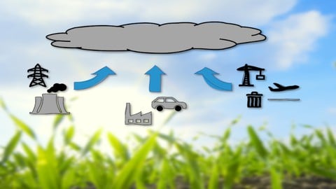 CO2-Bilanz für Unternehmen