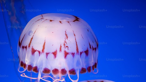 LEED V4 BD+C in 7 drawings -سبع رسومات ملخصة