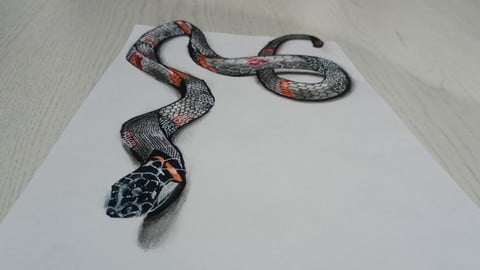 iii) 3BOYUTLU HAYVAN ÇİZİMİ - 3D ANİMAL DRAWİNG