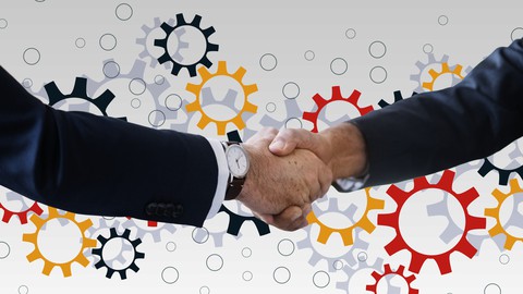 Project Management: Fundamentals of Project Leadership