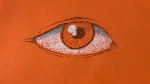 Débuter dans le dessin de portraits