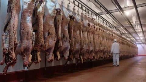 Faena Halal de carnes y aves