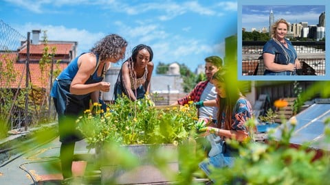 Leadership Through Garden Therapy: Team Building Resilience