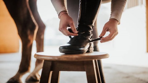 The Bootstrapped Entrepreneur