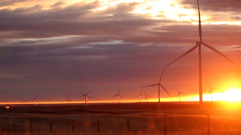 Beyond Sustainability: The Role of Business in Society