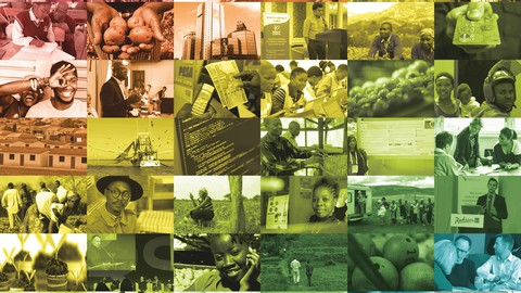 Regulatory impact assessment tools and techniques