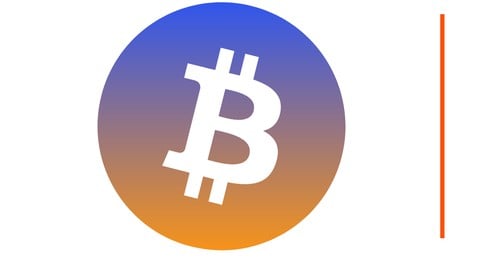 Maîtrisez l'Investissement en Cryptomonnaies Débutant à PRO